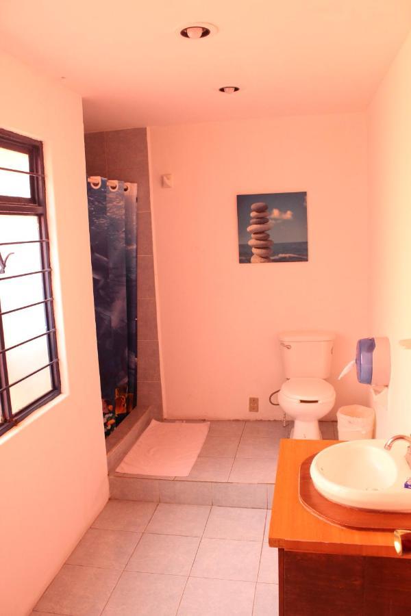 Hostal La Encantada مدينة مكسيكو المظهر الخارجي الصورة